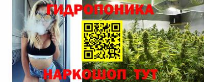 стафф Боровичи