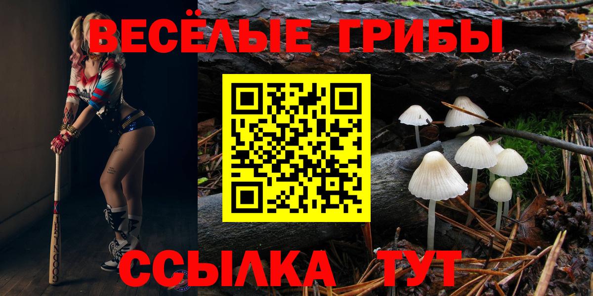 Псилоцибиновые грибы Psilocybine cubensis  Вход с VPN  Белебей 